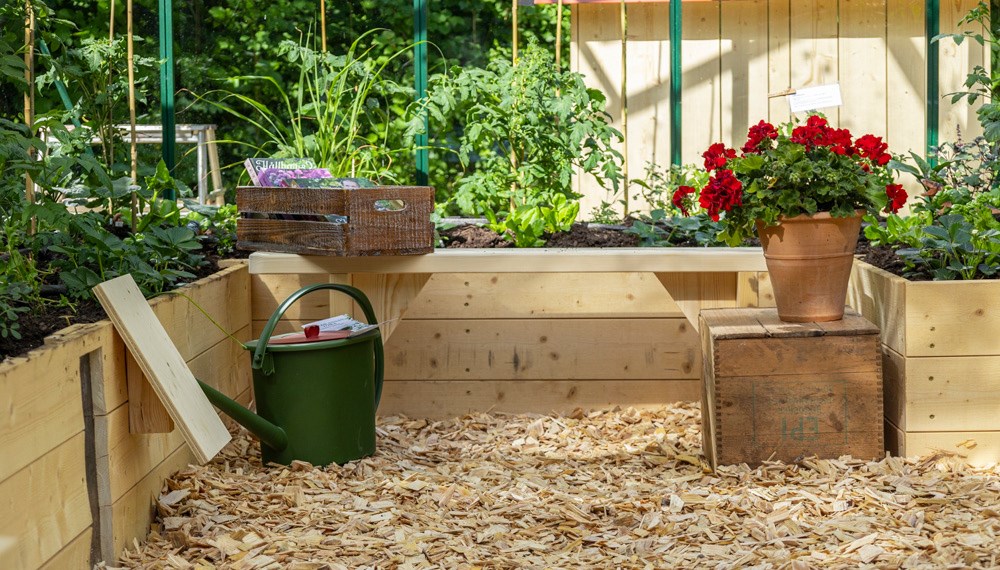 Trädgårdsinspiratören Sara Bäckmo delar sina bästa tips för att odla i växthus